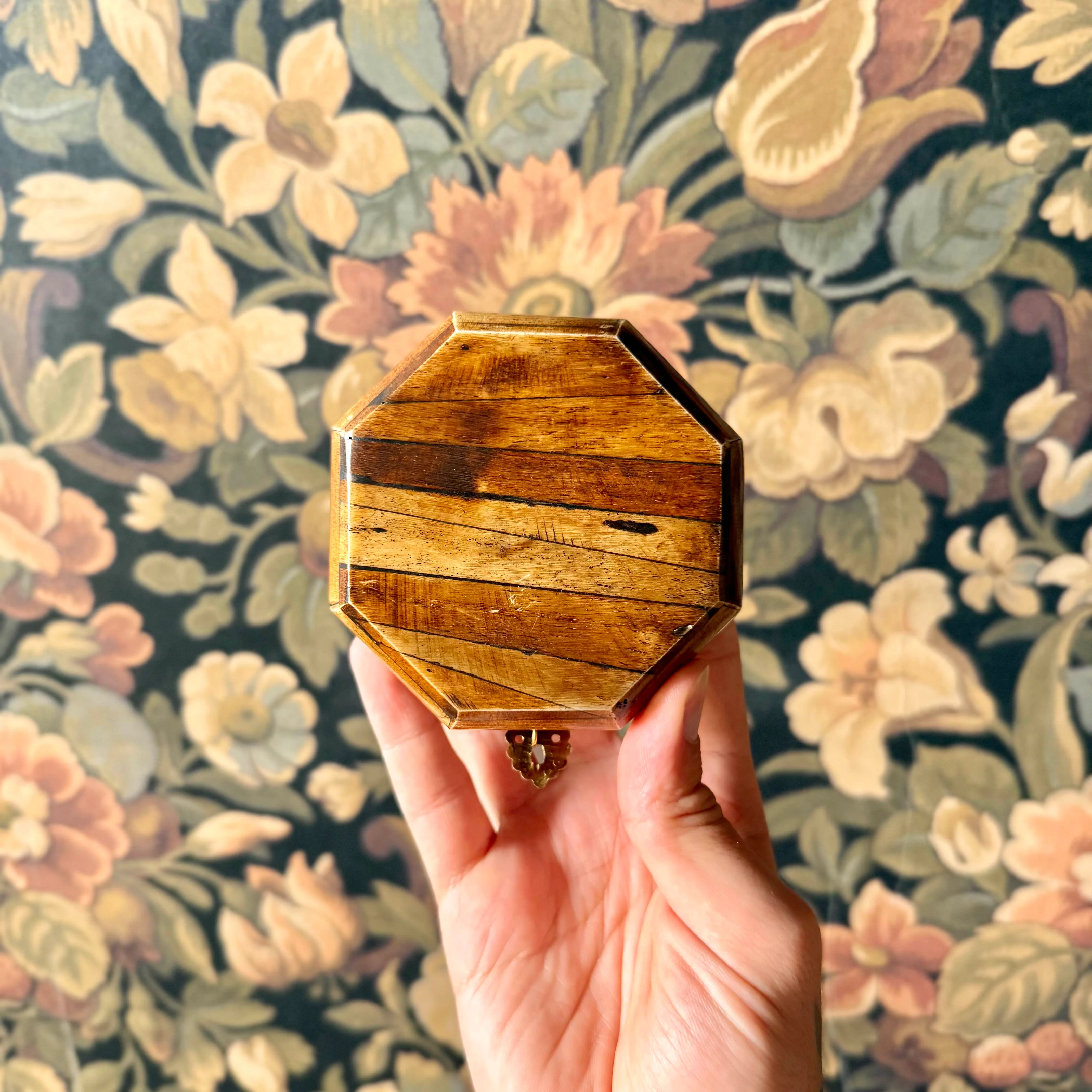 Bone & Velvet Jewelry Box - Image 3